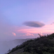 现代人真他喵饱