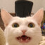 Mycapka