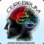 cerebrum