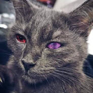 stomp - steam id 76561198825484014