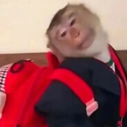 痴情不是罪过锅锅