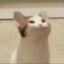 Jamal