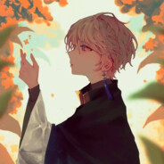 长安夜雨两年半