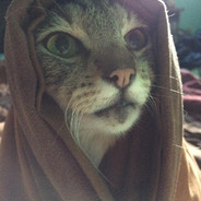 gotta kick some butts