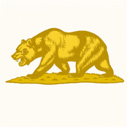 GOLDEN BEAR