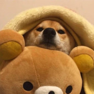 你跳个伞我刷会儿抖音