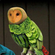 Paxil "Foul Towel" Vegetable Owl