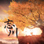 子曰：忘川