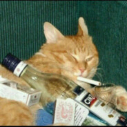 哈利路亚大旋风