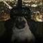 Avatar of player vip koтаkбас42 (iq)