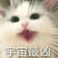 不许揪我的小耳朵
