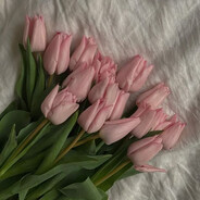 🌷
