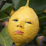 LemmyTheLemon