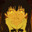theraped's Avatar