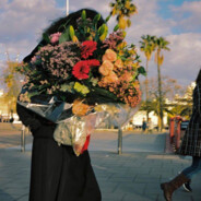 谁的温柔匿晚风