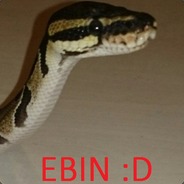 BEARCUM - steam id 76561197960384853