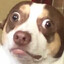 Mr.Bubz