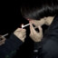 s1xodolsky