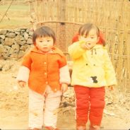 陶宝的穿越极速之旅