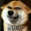阿毛ky