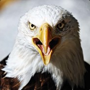amex avatar