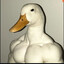 EQDuck