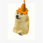 doge with cone