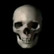 skull