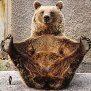 Олимпийский Мишка