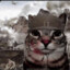 thousandyardcat