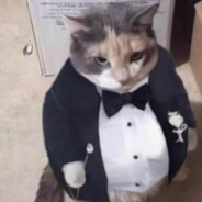 A Highly Distinguished Gentleman