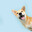 Der Doggi