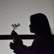 花园宝宝和叮叮车