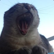 Robert Gamotte 's avatar