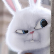 最美不过夕阳红