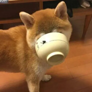 我应该能用鼻子喝水