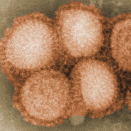 PAGI っ◔◡◔)っ