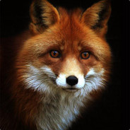 NexaR