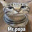 Mr. popa