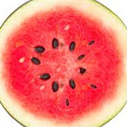 Water Melon