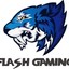 Flash Gaming cy1