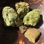 Stoney&lt;3