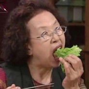 超高校级隐身豚