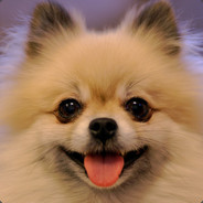 会挽雕弓如满月