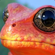 Gasten - steam id 76561197960605730