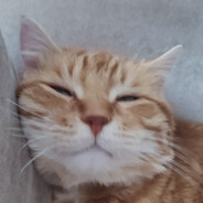 Pyenzi