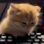 YL3 Глупышка's avatar