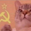 Gato-Soviético