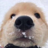 头上长了吸铁石