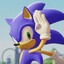 Sonic the hedgehog